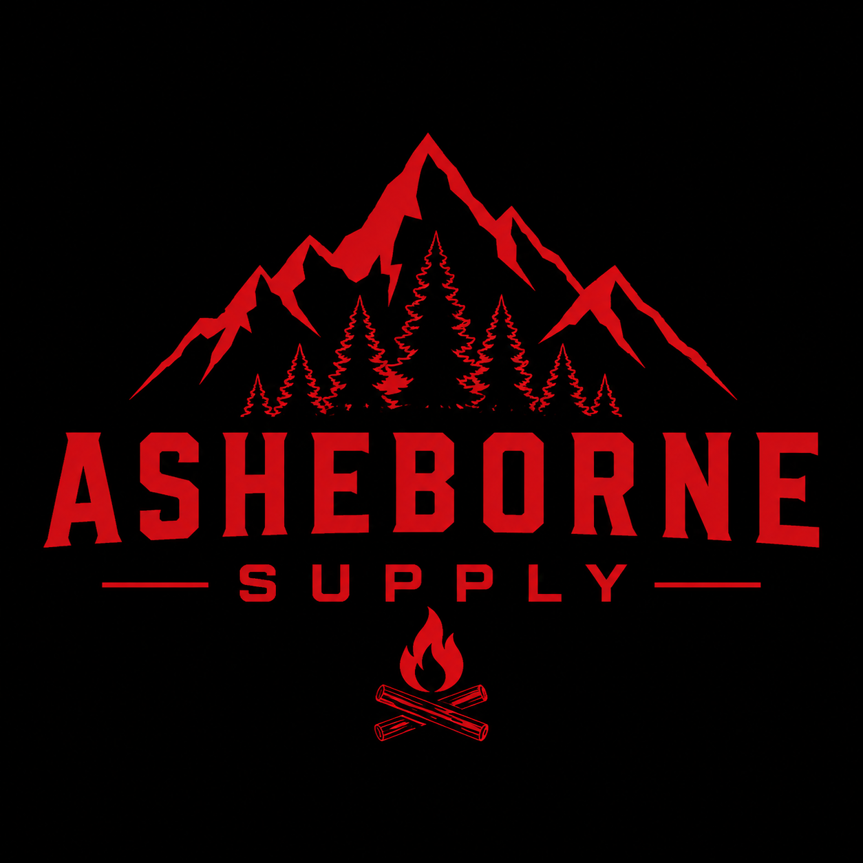 ASHEBORNE STORM ARC LIGHTER/FLASHLIGHT